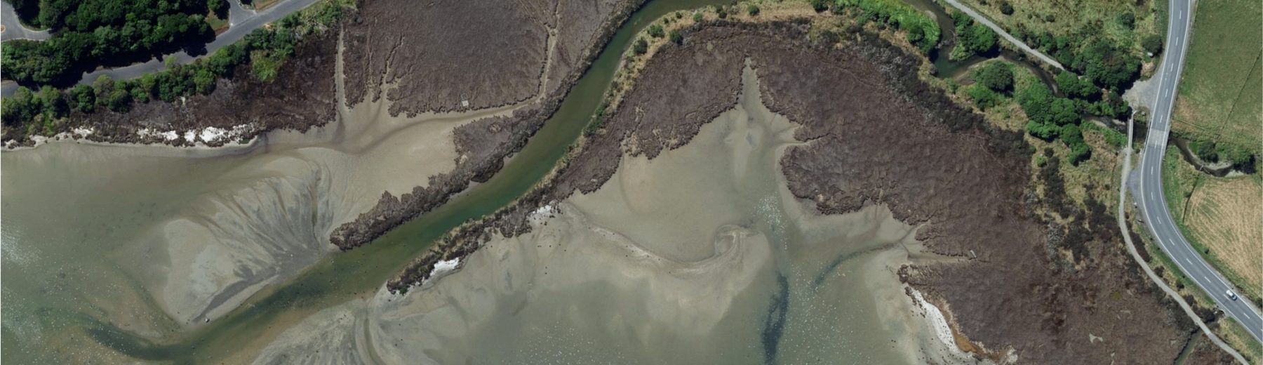 Pauatahanui